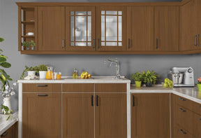 Multi-purpose Wood'n Kit (Large) - Vintage Cherry - Exterior Top Coat